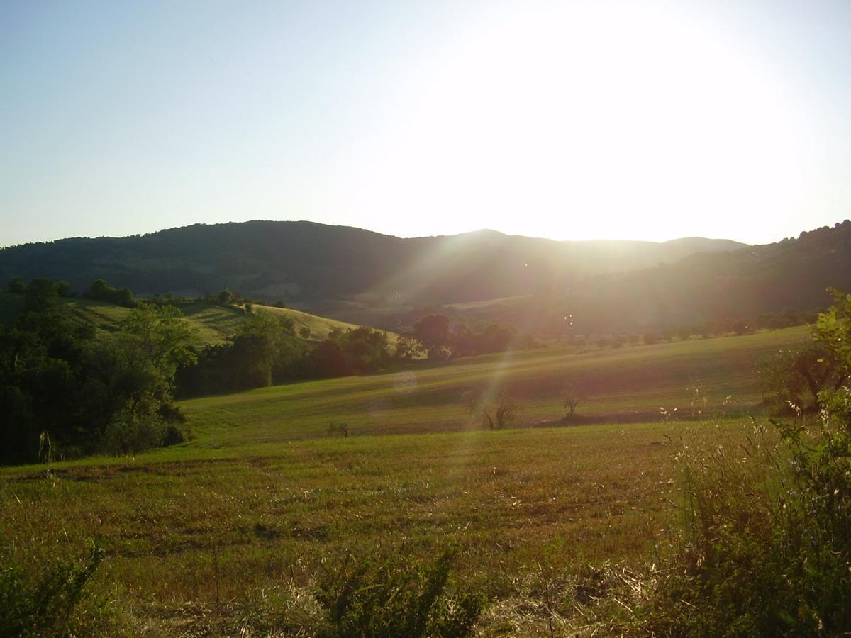 Belvilla By Oyo Il Camino Montespertoli Eksteriør bilde